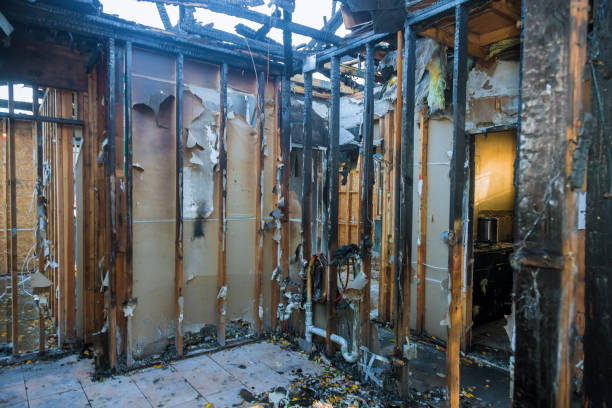 Professional Soot Cleanup technician working in Grayson, KY